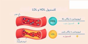 آیا HDL روغن حیوانی برای چربی خون خوب است
